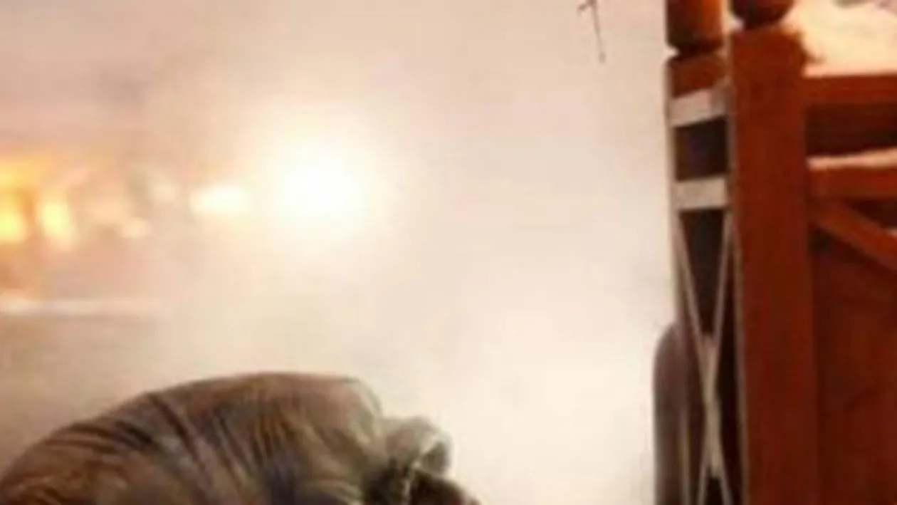 Gerul face victime: 34 de persoane au murit din cauza vremii nefavorabile!