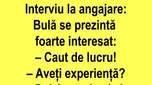 BANC | Bulă se prezintă la un interviu de angajare