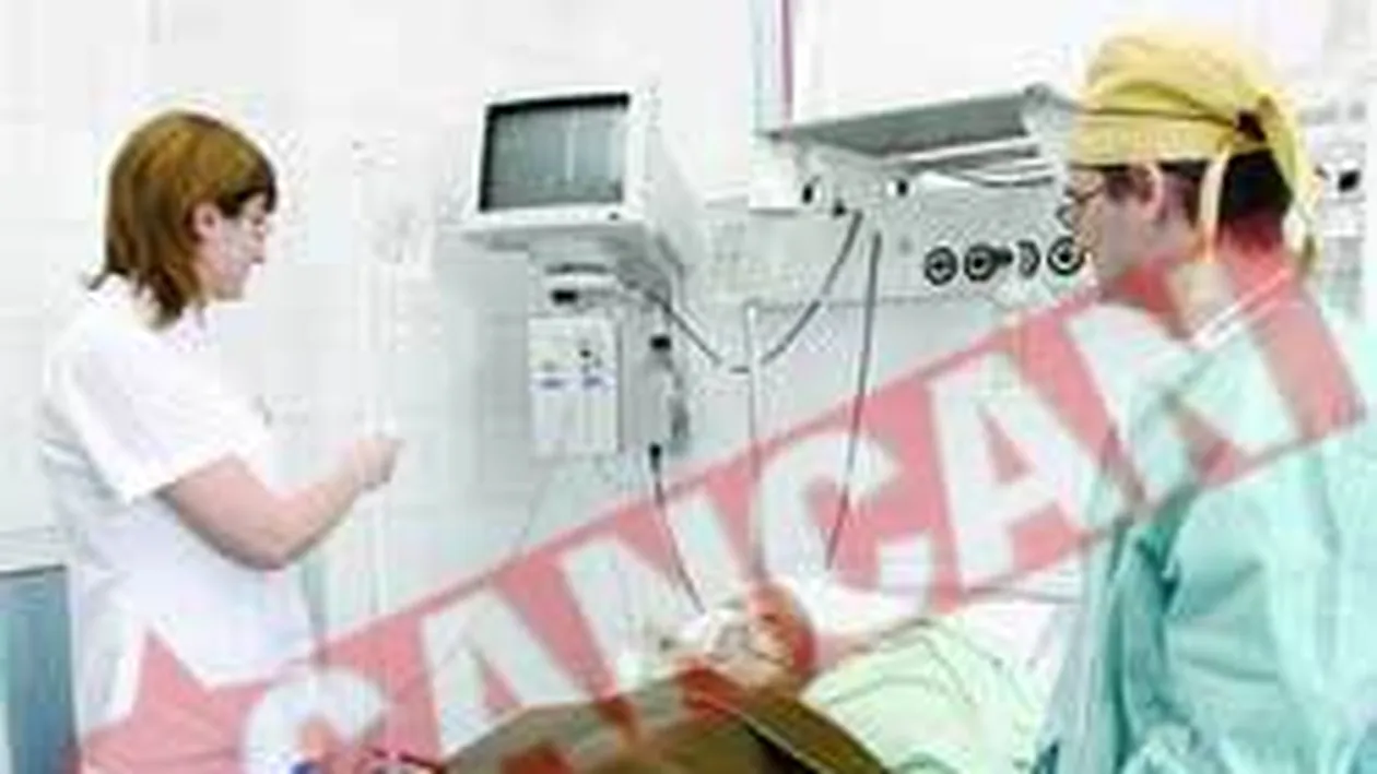 Transplanturi pe banda rulanta