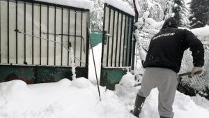 Ce amendă primesc românii care locuiesc la casă și nu deszăpezesc trotuarul. Suma nu este mică deloc