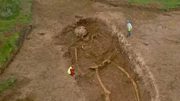 De NECREZUT! Schelete de URIASI, descoperite in Romania! Declaratia socanta a unui barbat care sustine ca a vazut totul