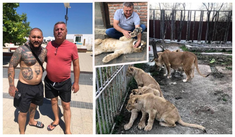 Claudiu Duică și Dani Mocanu sunt prieteni, motiv pentru care atunci când manelistul a avut nevoie de un leu pentru clipul melodiei “Stop, România”, executorul judecătoresc i l-a împrumutat fără prea multe discuții © Facebook