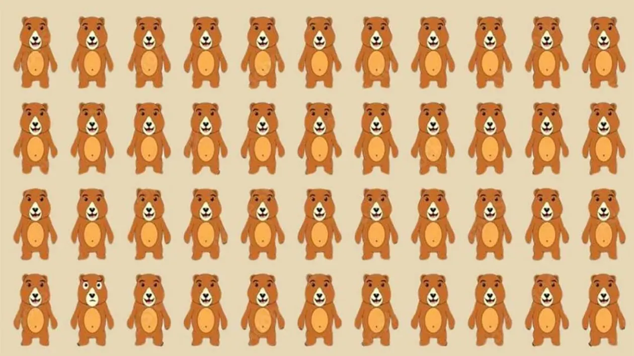 TEST IQ | Unul dintre acești 44 de urși este diferit. Găsiți-l în 4 secunde!