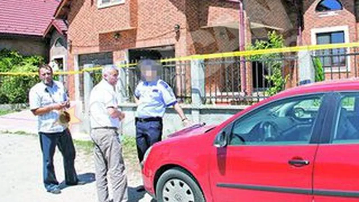 Hotii au intrat noaptea in vila Andreei Cretulescu