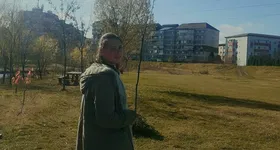 Galerie foto - poza 1