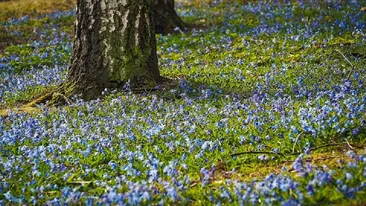 Prognoza meteo. Cum va fi vremea în luna mai și la începutul lui iunie