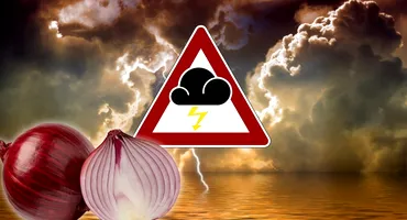 Cum află bătrânii cum va fi vremea în 2025 cu ajutorul unei cepe. Tradiții de Anul Nou din Oltenia