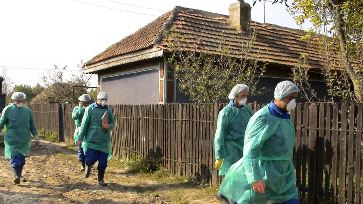 Înainte de Covid, România a avut gripa aviară. Prea multe întrebări au rămas fără răspuns