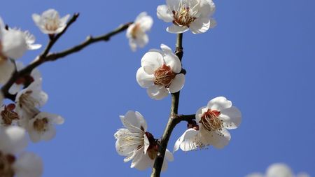 Vremea se schimbă radical în Săptămâna Mare! ANM a actualizat prognoza meteo: cum va fi de Paște