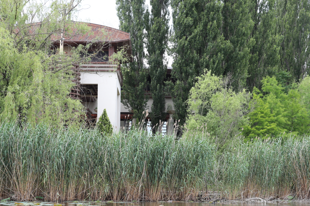 Fabulosul domeniu de la Snagov, deţinut de Dinu Patriciu, este acum abandonat în voia sorţii