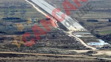 425 de sibieni vor fi colegi cu Nicolas Cage!