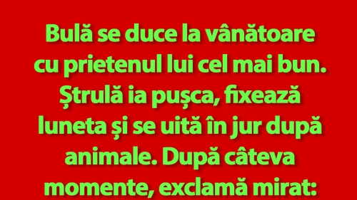 BANC | Bulă și Ștrulă se duc la vânătoare