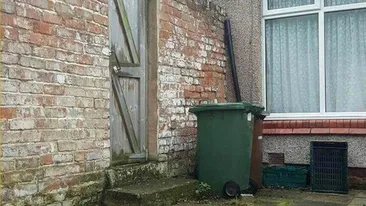 Iluzie optică virală | Găsiți pisica ascunsă! Aveți la dispoziție doar 10 secunde