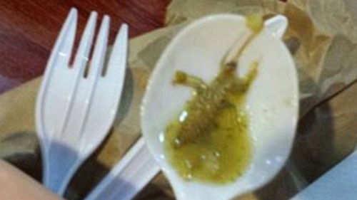 I s-a facut imediat rau! Ce a gasit o tanara in ciorba pe care si-a comandat-o la restaurant: "A fost un cosmar"