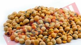 Zece alimente anticancer pe zi!