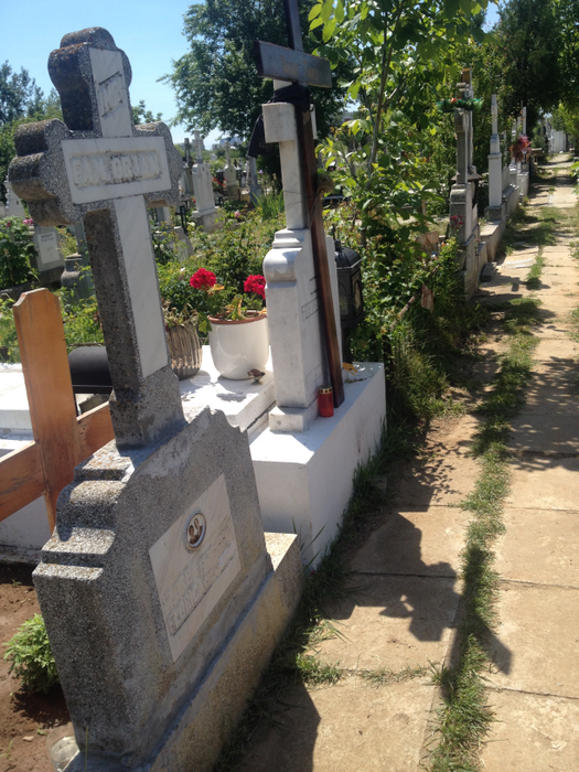 Mormântul lui Vasile Turcu arată foarte îngrijit
