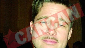 Brad trage la masea