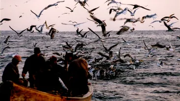 Delta Dunării: între gheață și speranță. Douăzeci de ani de supraviețuire la capătul hărții