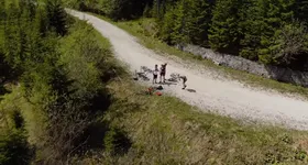 Galerie foto - poza 3