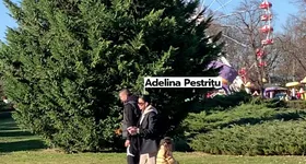 Galerie foto - poza 4