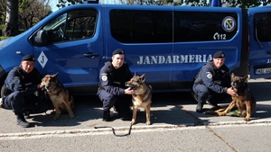 Trei câini jandarmi au ieșit la pensie după 13 ani de activitate: „Vă mulțumim pentru tot ce ați făcut pentru noi...pentru oameni!”