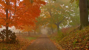 E ultima zi de vara! Temperaturile vor fi si cu 12 grade Celsius mai scazute! Vezi cum se schimba vremea de maine!