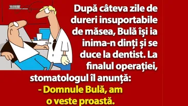 BANC | Bulă își ia inima-n dinți și se duce la dentist