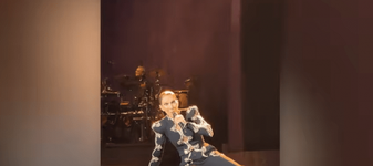 Celine Dion a căzut pe scenă în timpul unui concert la Paris. Gestul făcut ulterior de artistă