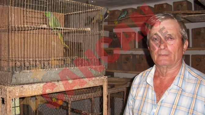 El creste papagali, pauni si dihori