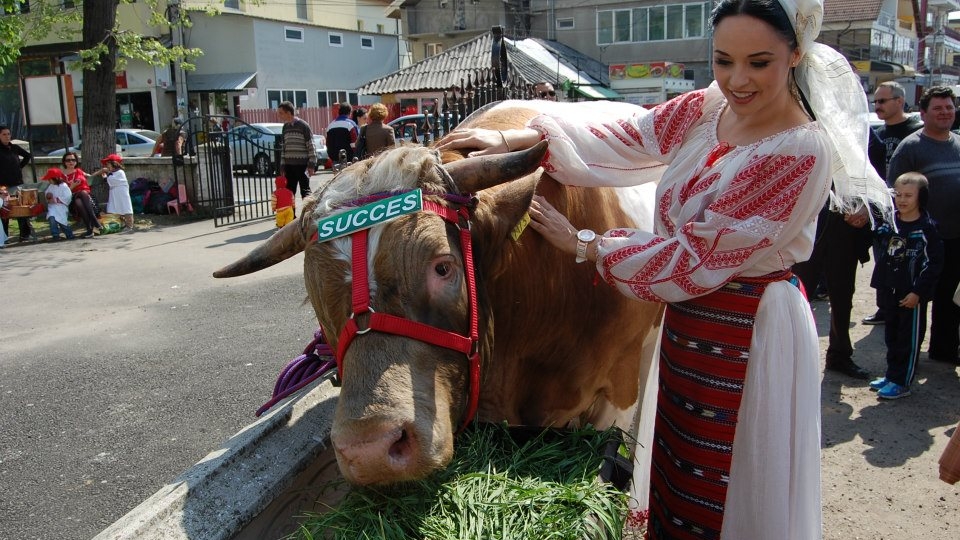 Andreea Marin a vândut carne tocată la o măcelarie de cartier si a stat la coada vacii cu un ceas de 8000 de euro la mână