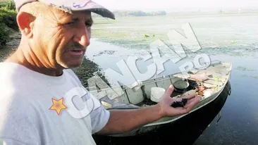 Alerta pe Dunare, la Hinova, Mehedinti! Plantele cu coarne au invadat fluviul