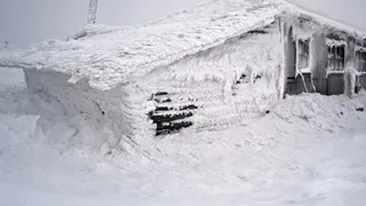 America, inghetata de un val de aer artic! Mii de zboruri au fost anulate