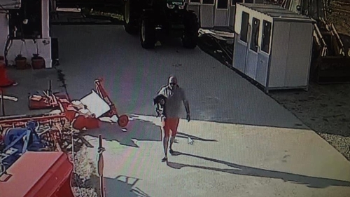 Au furat câinele unei familii din Pielești, Dolj, dar au uitat de camerele de supraveghere. Păgubitul speră ca hoții să fie recunoscuți