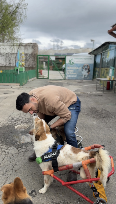 Radu de la Insula Iubirii va dona premiul animalelor fără stăpân. (SURSA: SOCIAL MEDIA)