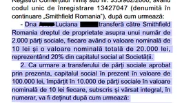 Galerie foto - poza 1