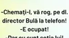 Bancul de sâmbătă | „Chemați-l, vă rog, pe dl. director Bulă la telefon!”