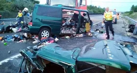 Galerie foto - poza 1