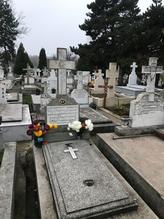 Stela Popescu va fi înmormântată lângă fostul ei coleg de platou, Geo Saizescu