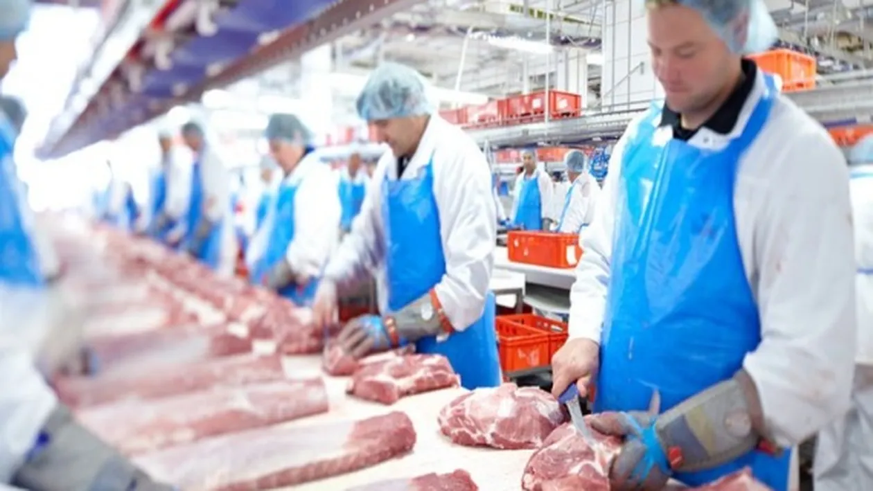 Focar de COVID-19 la un abator din Germania! Peste 200 de lucrători români au fost infectați