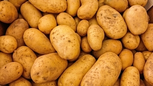 Orașul din România în care 1 kg de cartofi costă 7 lei! De ce sunt atât de scumpi