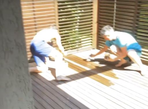 Dani Oțil a trecut la munca de jos: “Te-ai căsătorit, stai în genunchi”. Gabriela Prisăcariu a filmat amuzată momentele | FOTO