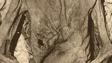 Cadavrul mumificat al unui barbat mort in urma cu 20 de ani, gasit intr-o casa parasita din Italia