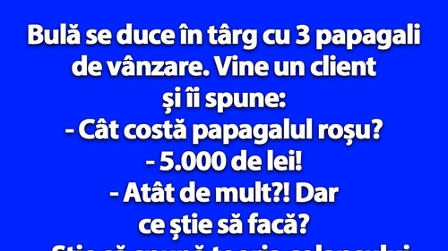 BANC | Bulă se duce în târg cu 3 papagali de vânzare