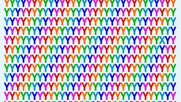 Cea mai dubioasă iluzie optică | Găseşte X-ul ascuns în mulţimea de litere Y, în doar 21 de secunde