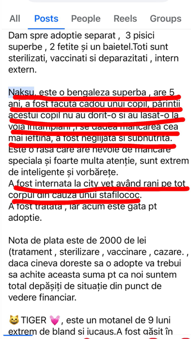 Mesajul de adopție postat pe Facebook. Foto: Captură Facebook