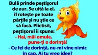 BANC | Bulă prinde peștișorul de aur: Hai, măi omule, pune-ți o dorință!