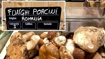 Cu cât se vinde kilogramul de hribi românești, într-un supermarket din Italia. Imagini realizate de un român uimit