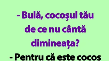 BANC | De ce nu cântă cocoșul lui Bulă, de fapt