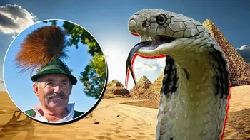 Un moment de divertisment într-o vacanță din Egipt s-a transformat în tragedie: turist mușcat mortal de șarpe