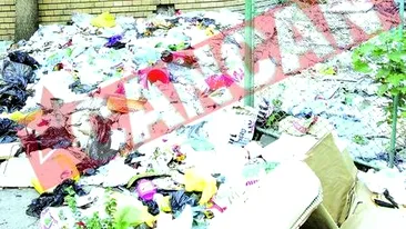 Sute de bucuresteni, chinuiti de un munte de gunoi